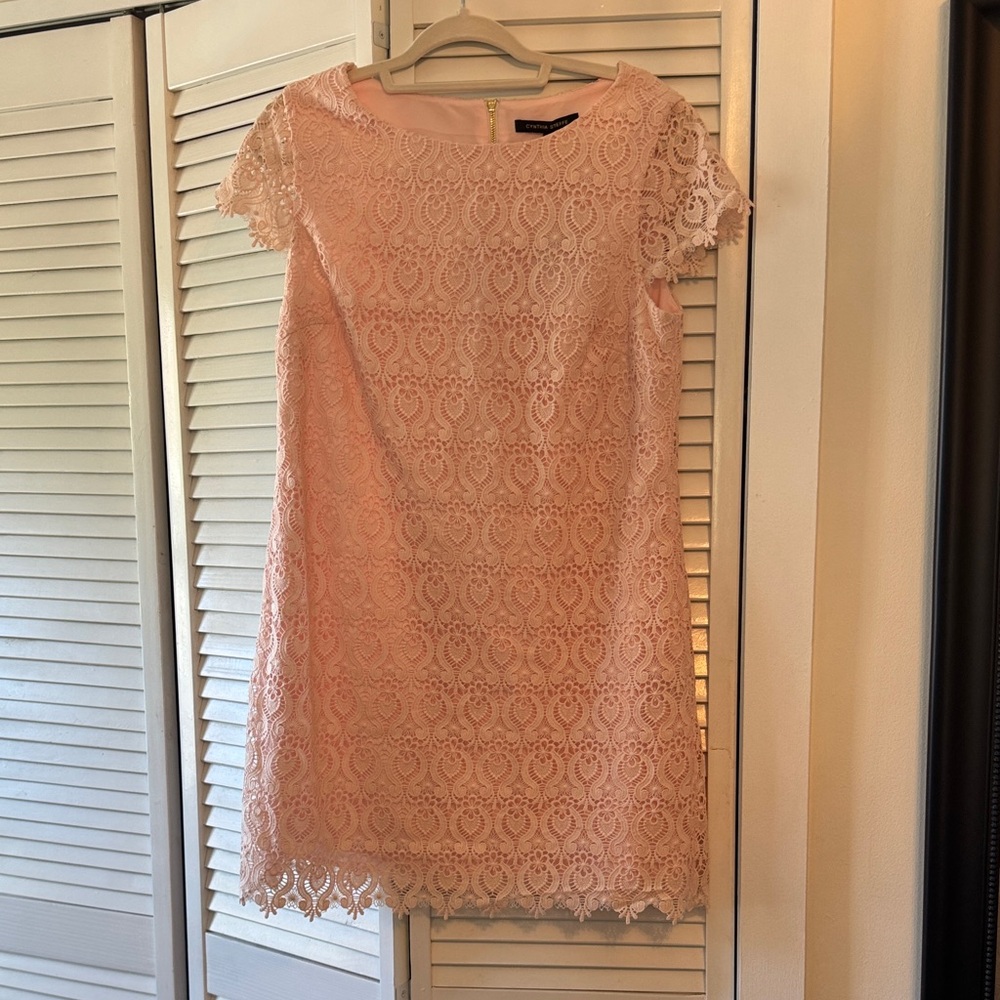 Cynthia Steffe Pink Lace Shift Dress